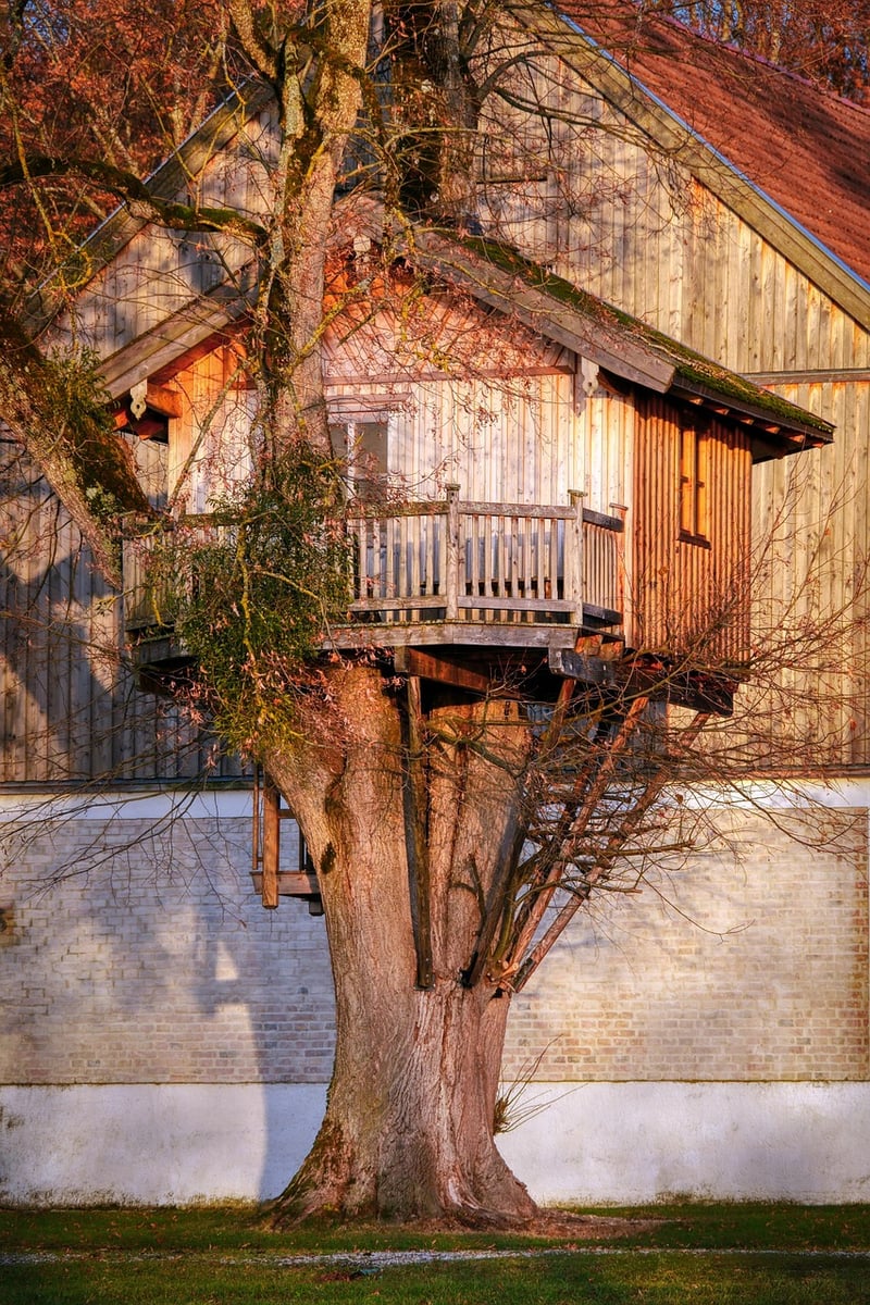 Treehouse stays