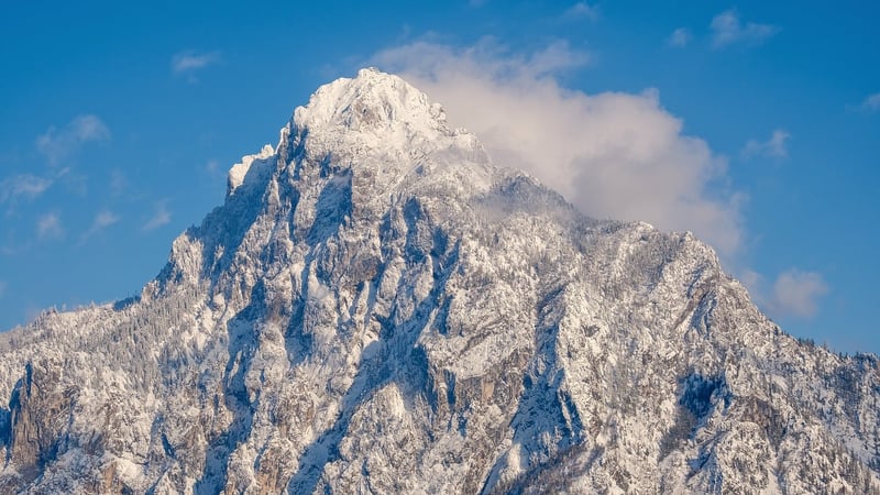 Rockies